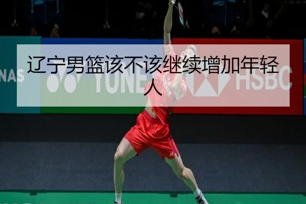 辽宁男篮该不该继续增加年轻人
