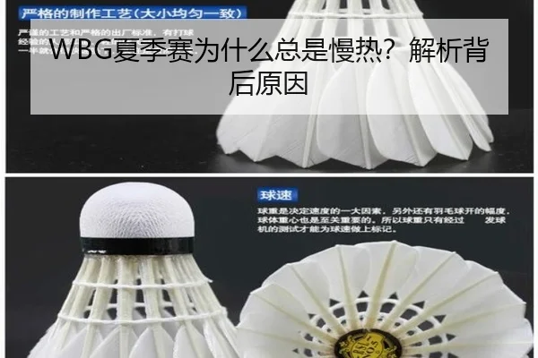 WBG夏季赛为什么总是慢热？解析背后原因